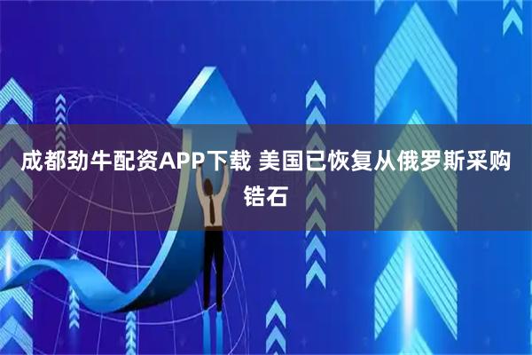 成都劲牛配资APP下载 美国已恢复从俄罗斯采购锆石