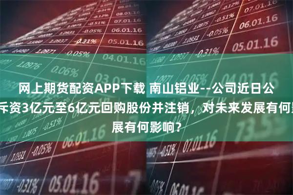 网上期货配资APP下载 南山铝业--公司近日公告拟斥资3亿元至6亿元回购股份并注销，对未来发展有何影响？