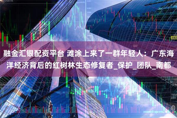 融金汇银配资平台 滩涂上来了一群年轻人：广东海洋经济背后的红树林生态修复者_保护_团队_南都