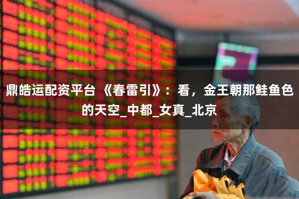 鼎皓运配资平台 《春雷引》：看，金王朝那鲑鱼色的天空_中都_女真_北京