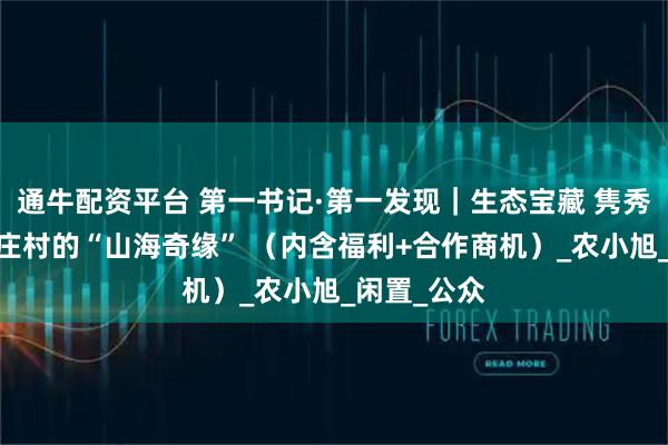 通牛配资平台 第一书记·第一发现｜生态宝藏 隽秀南山——下庄村的“山海奇缘” （内含福利+合作商机）_农小旭_闲置_公众